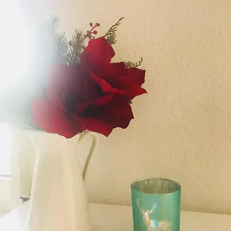 Pensionat Gaestehaus-apres-park Rust