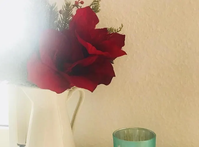 ゲストハウス Gaestehaus-apres-park ルスト